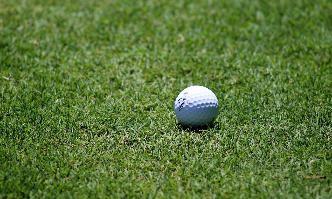 Artificial grass for golf practice field